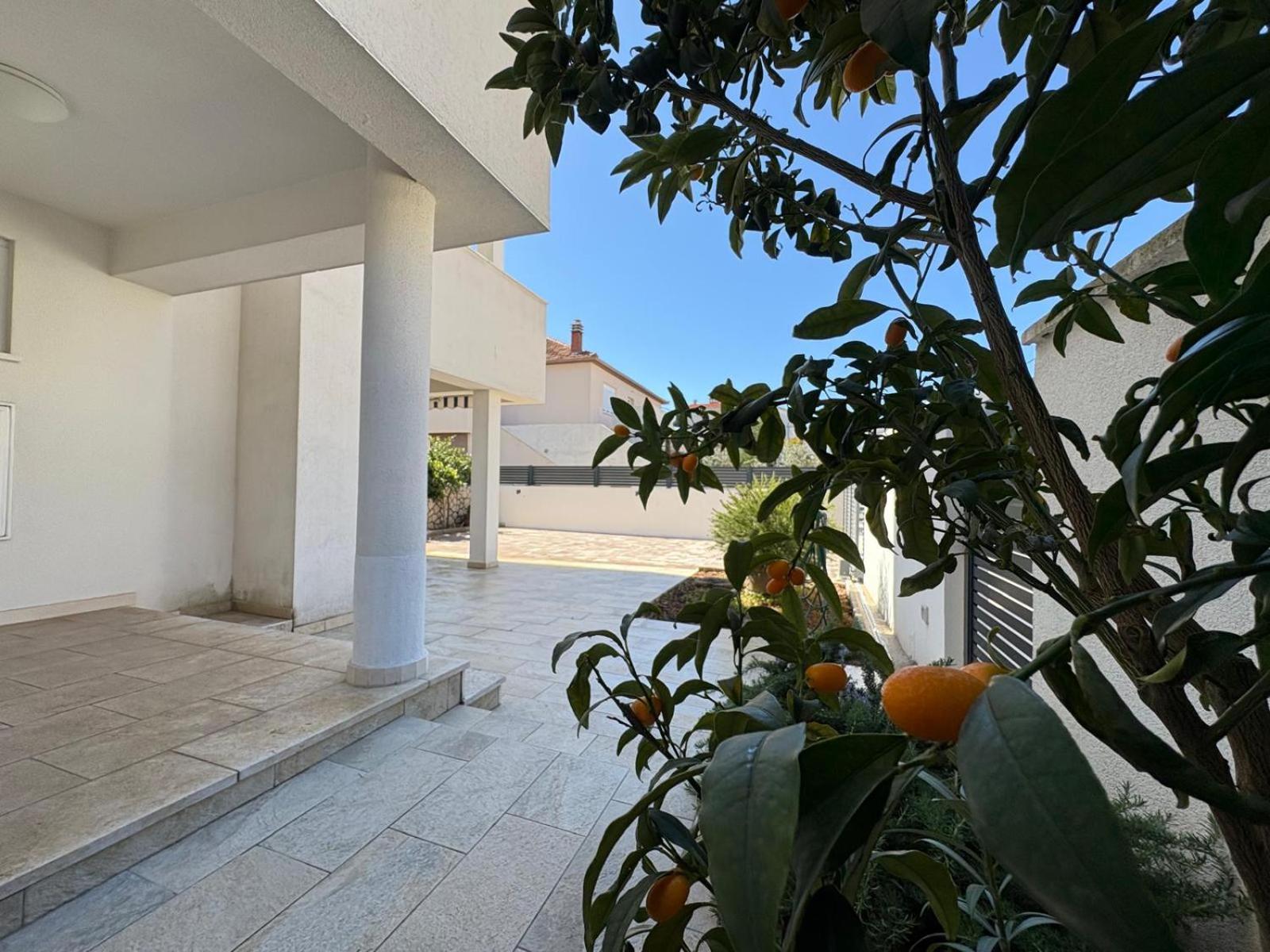 Spacious Chic Residence Ζαντάρ Εξωτερικό φωτογραφία